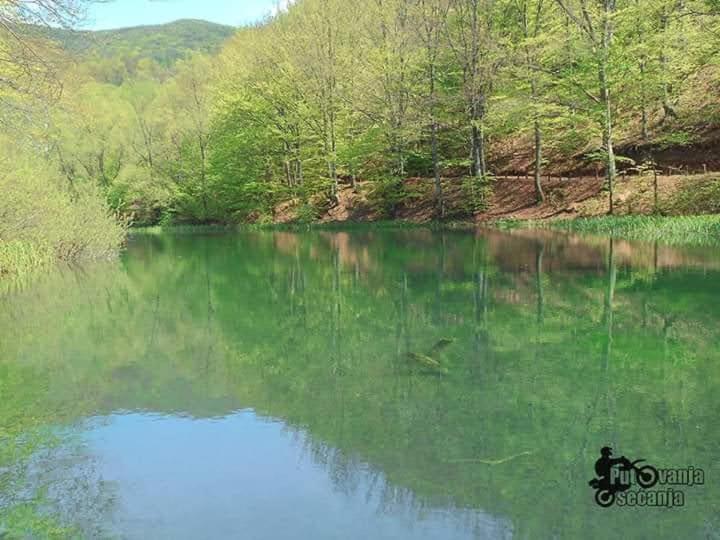 Apartmani Grza Paraćin Exteriör bild