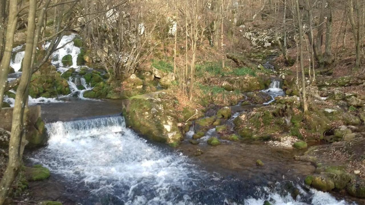 Apartmani Grza Paraćin Exteriör bild