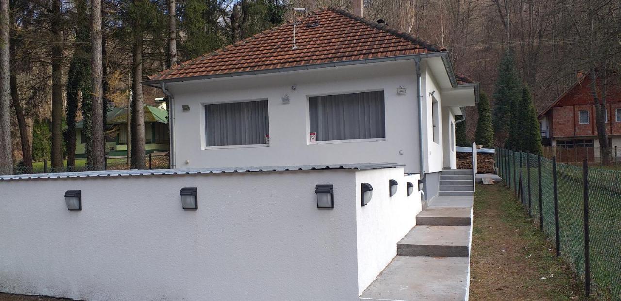 Apartmani Grza Paraćin Exteriör bild
